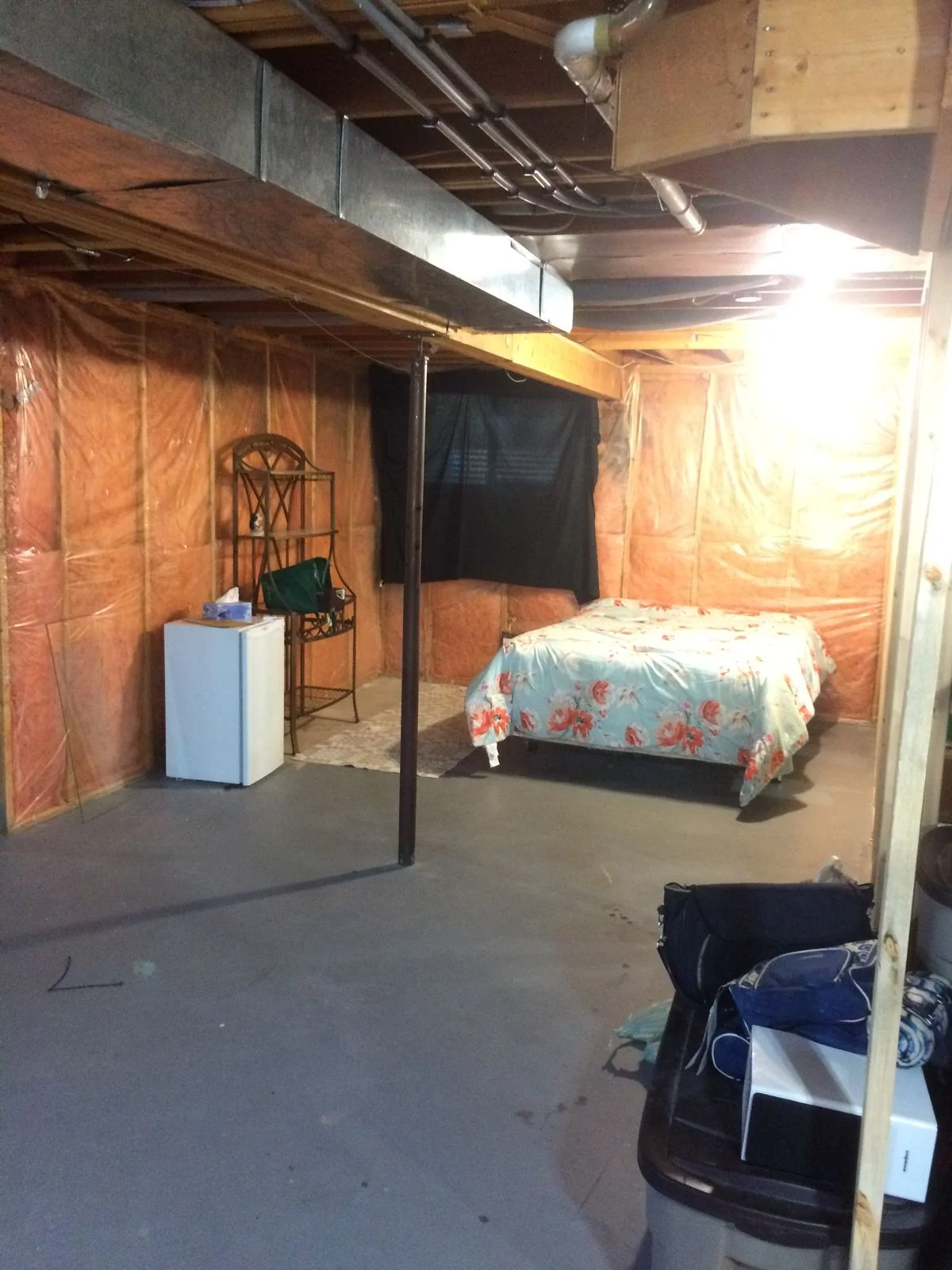 Unfinished basement used for storage before development