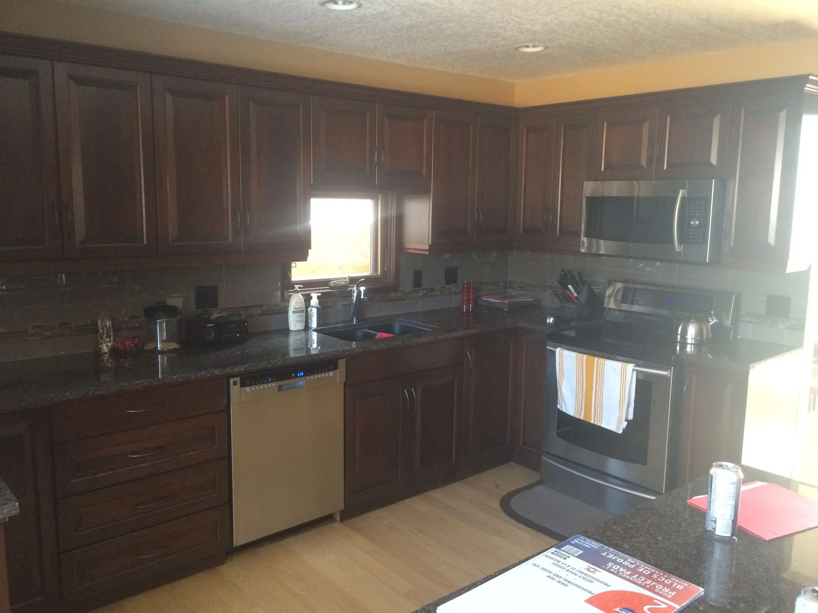 Original kitchen counters and appliances